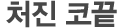 처진 코끝