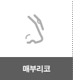 매부리코