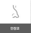 안장코