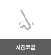 처진코끝