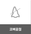 코뼈골절