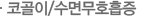 코골이/수면무호흡증