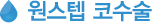 원스텝 코수술
