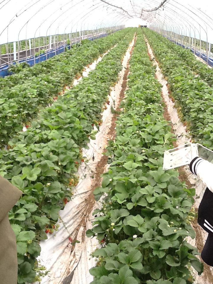 병원일기 이미지