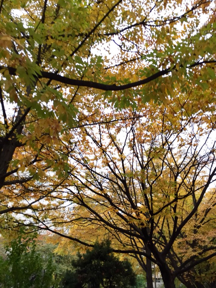 병원일기 이미지