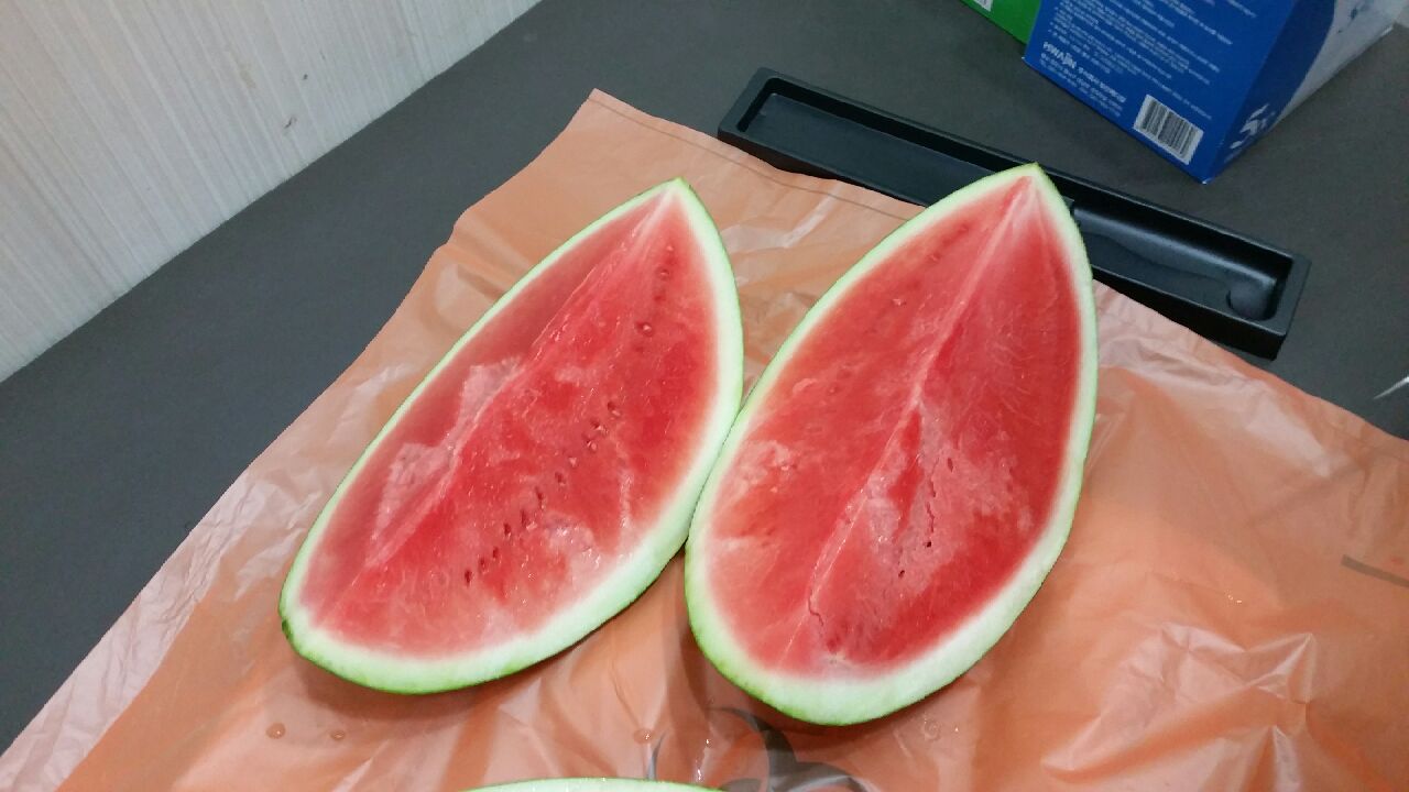 병원일기 이미지